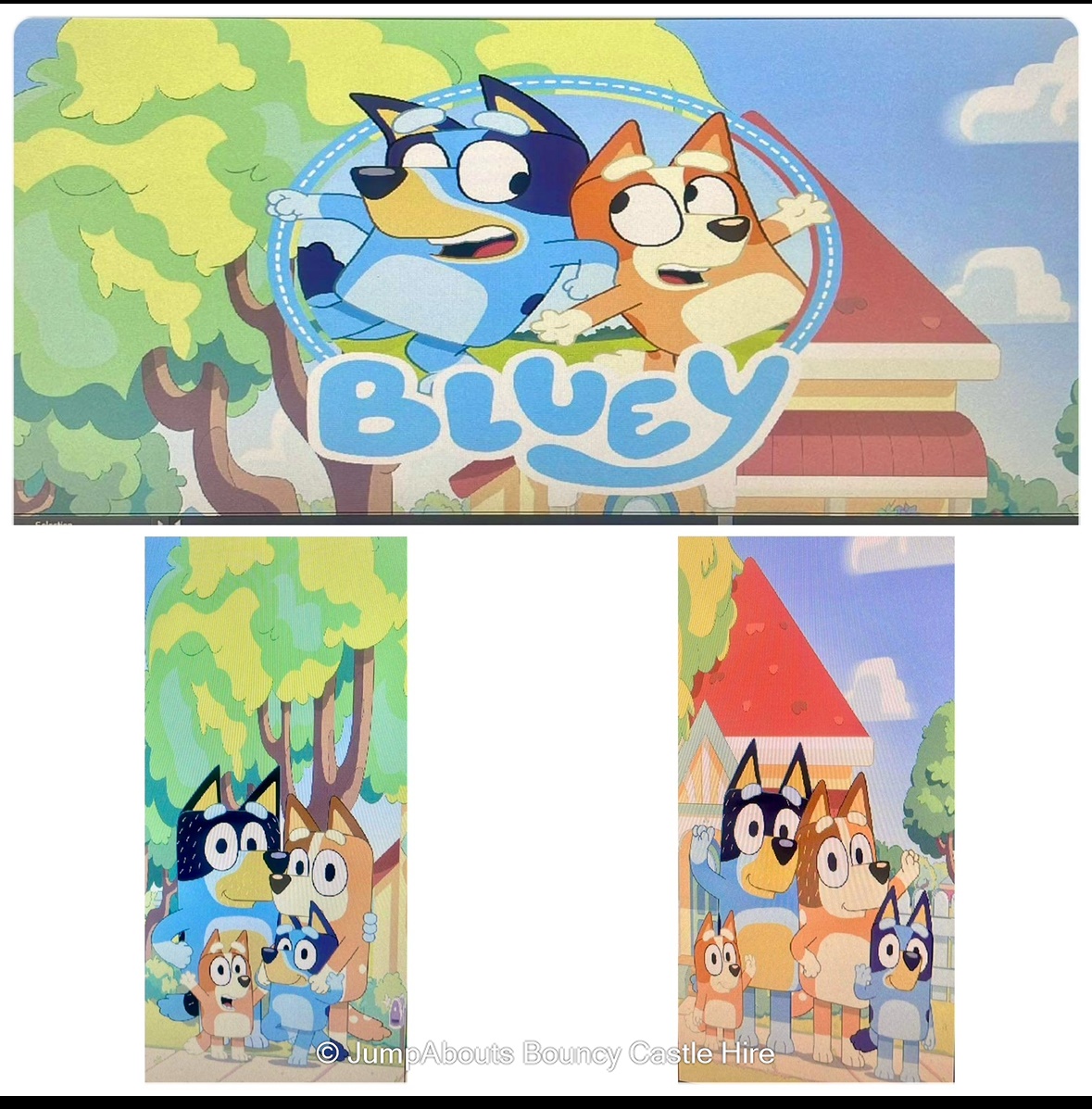 Bluey Bounce & Slide Hire | Purley, Streatham, Catford, Chaldon